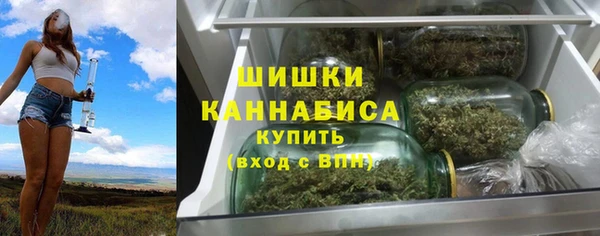 прущие крисы Гусев
