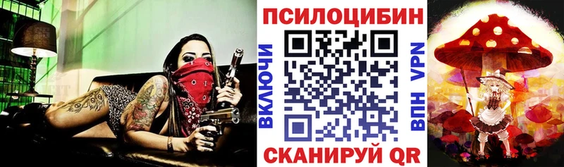 ОМГ ОМГ сайт  Ершов  Галлюциногенные грибы Magic Shrooms 
